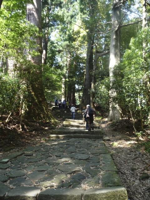 自然豊かな熊野古道