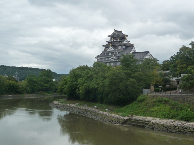 川辺の岡山城