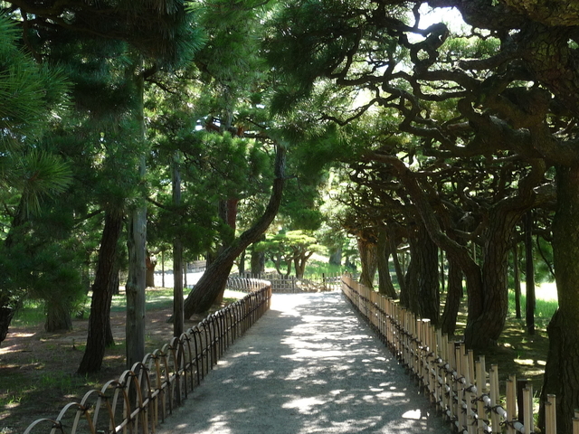 栗林公園の松回廊